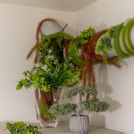 The Beauty Of The North Apartment *